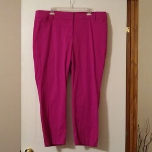 Loft outlet Ankle pants
